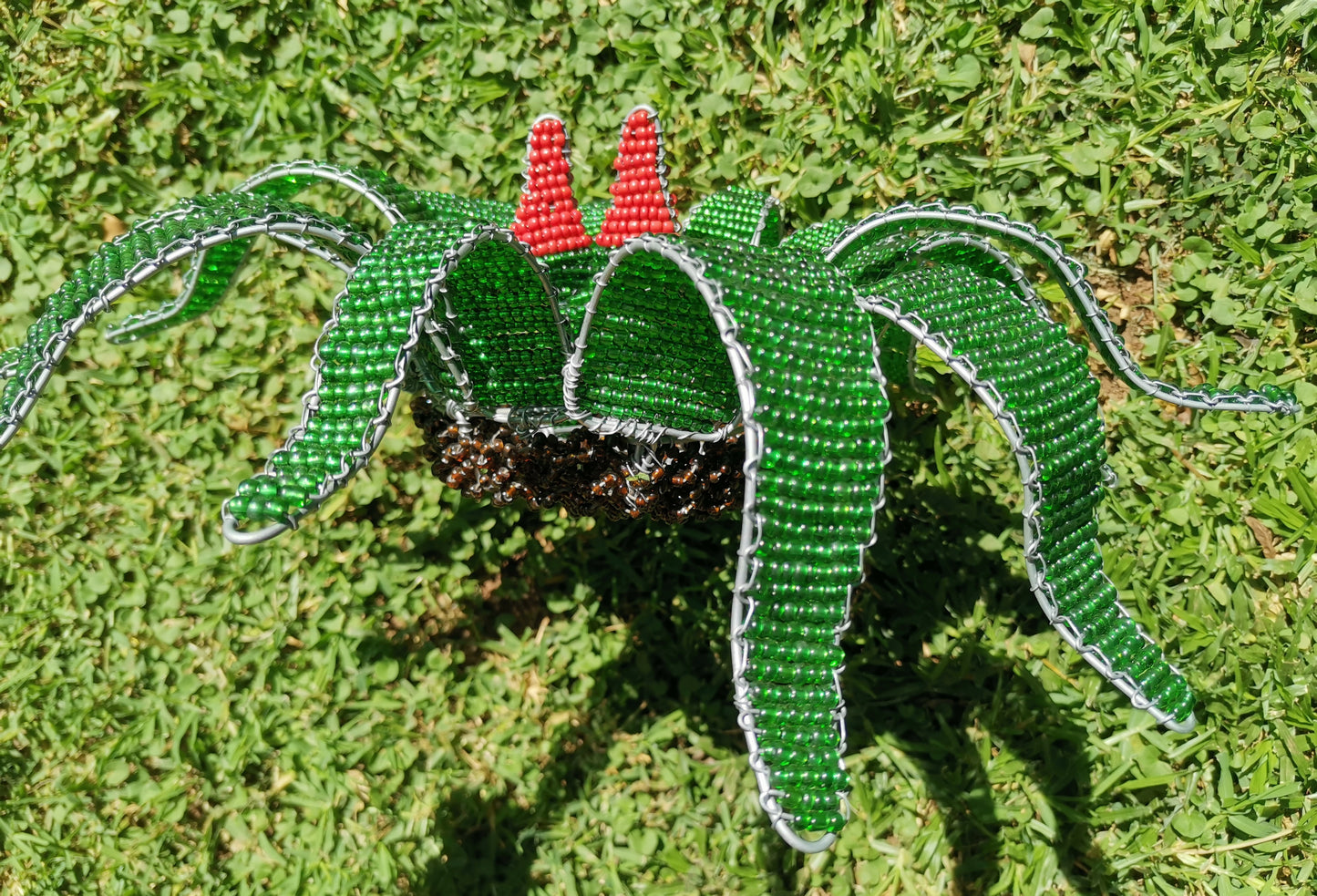 Beaded Welwitschia Mirabilis