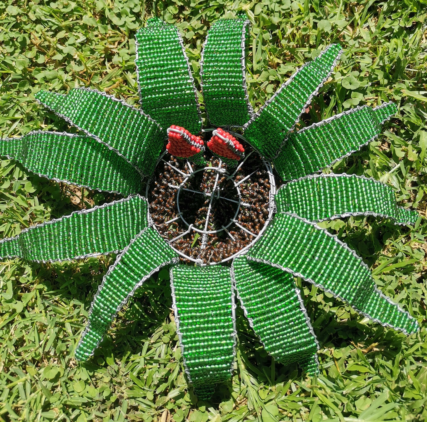 Beaded Welwitschia Mirabilis