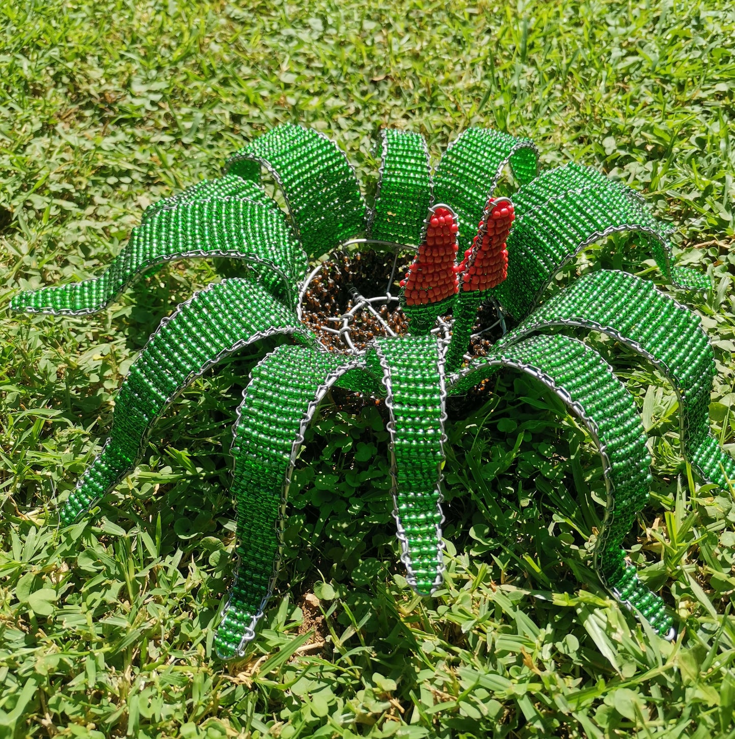 Beaded Welwitschia Mirabilis