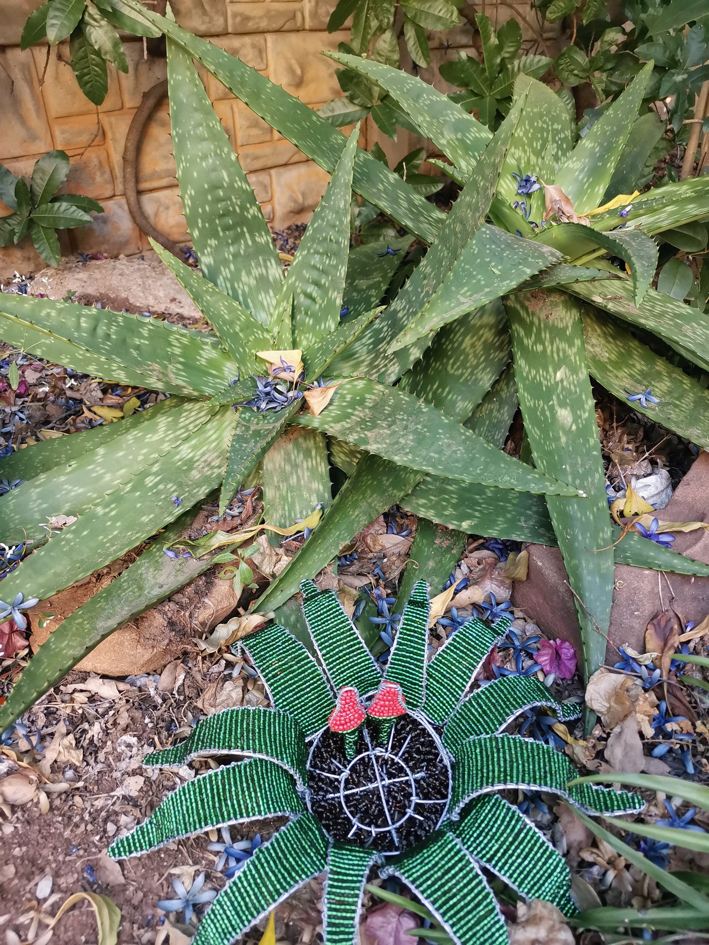 Beaded Welwitschia Mirabilis